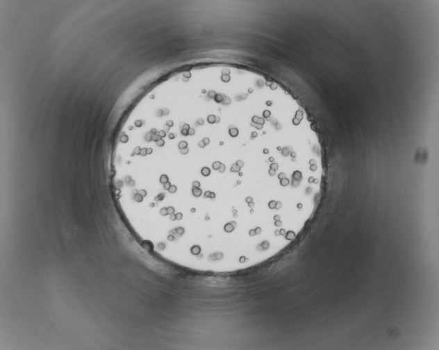 X0000111481180200908250954