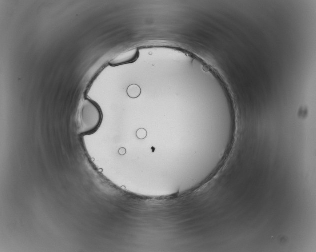 X0000111481181200908250954