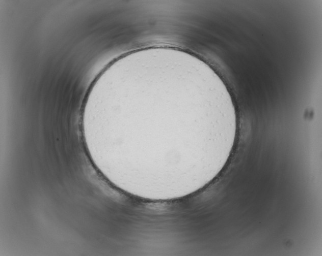 X0000111481182200908250954
