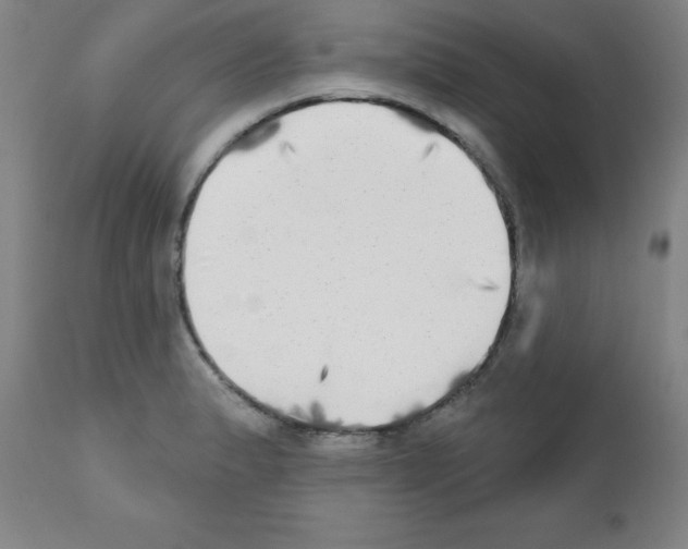 X0000111481183200908250954