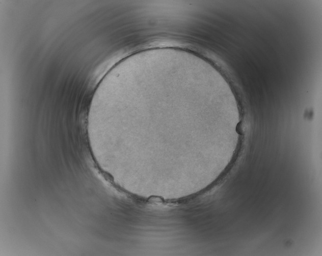 X0000111481185200908250954