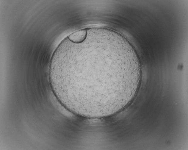 X0000111481186200908250954
