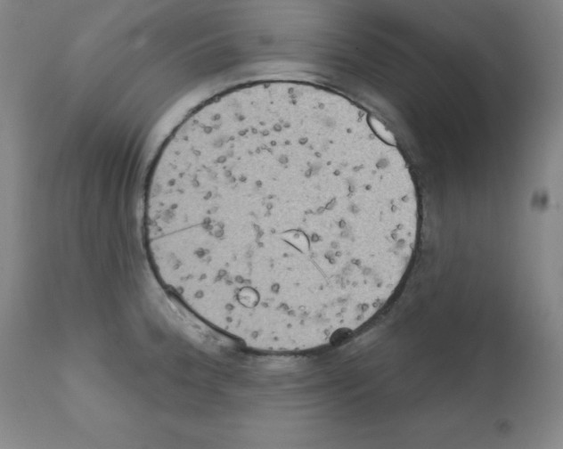 X0000111481188200908250954