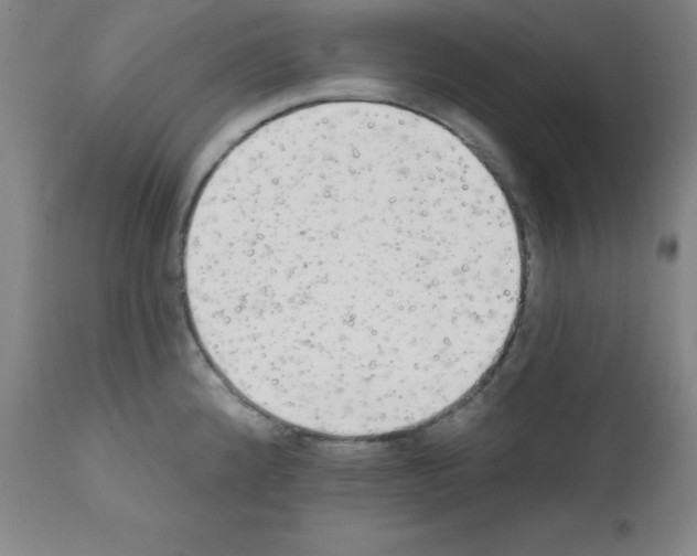 X0000111481192200908250954