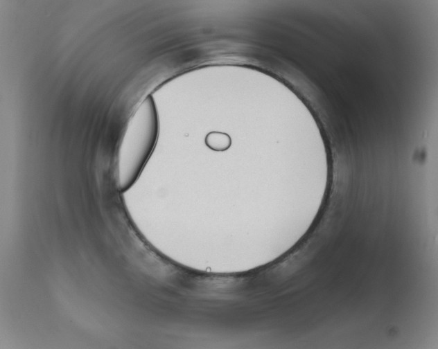 X0000111481193200908250954