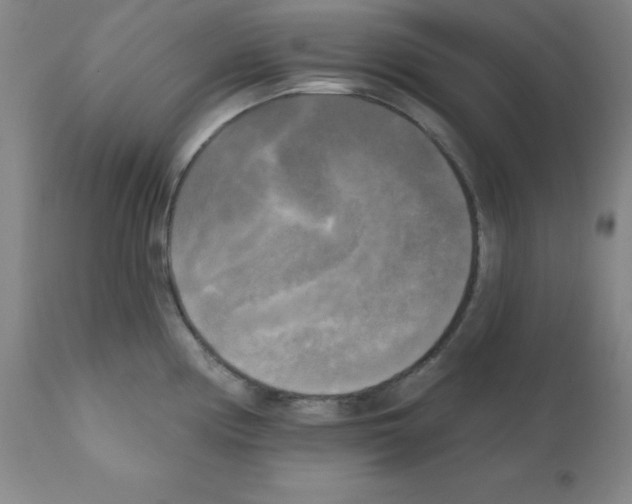 X0000111481194200908250953