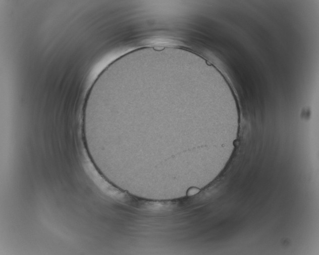 X0000111481195200908250953