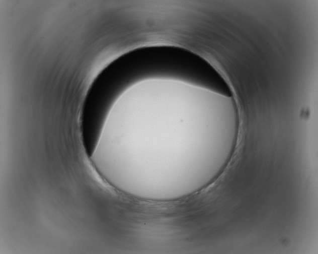 X0000111481197200908250953