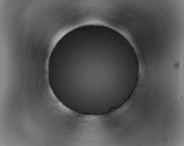 X0000111481199200908250953