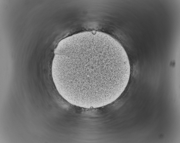 X0000111481201200908250952