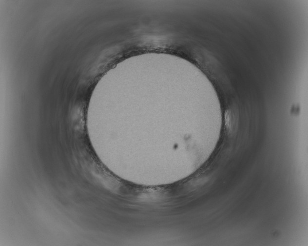 X0000111481203200908250952