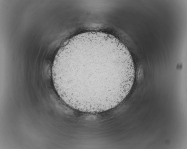 X0000111481204200908250952