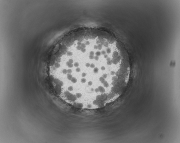 X0000111481205200908250952