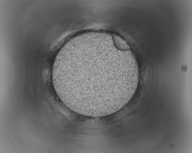 X0000111481206200908250952