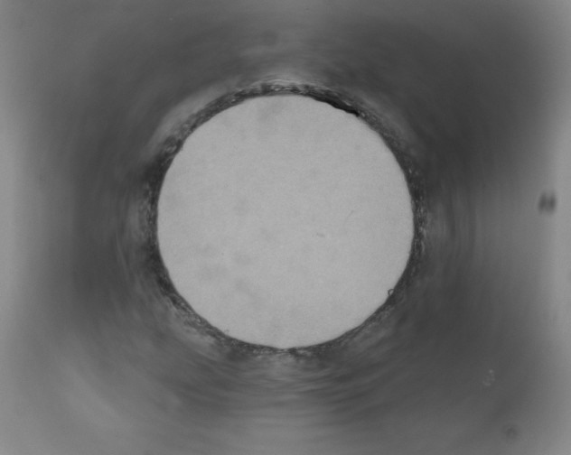 X0000111481207200908250952