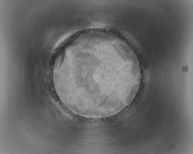 X0000111481208200908250953