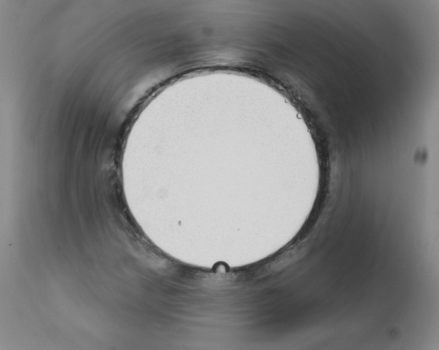 X0000111481210200908250953