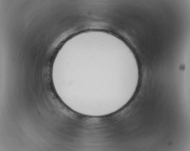 X0000111481211200908250953
