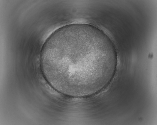 X0000111481212200908250953