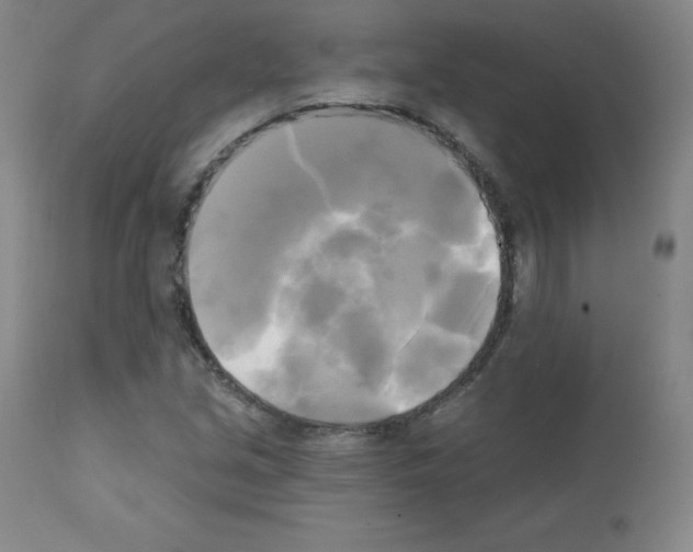 X0000111481213200908250953