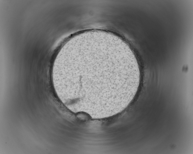 X0000111481214200908250953