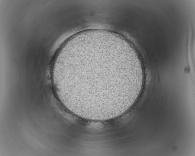 X0000111481215200908250953