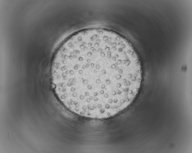 X0000111481216200908250953