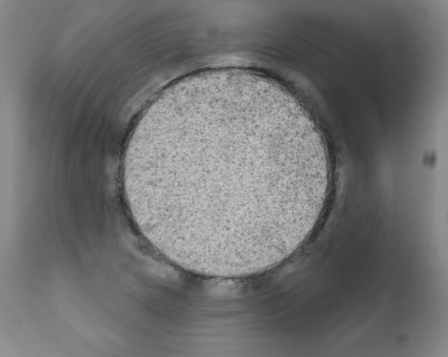 X0000111481217200908250953