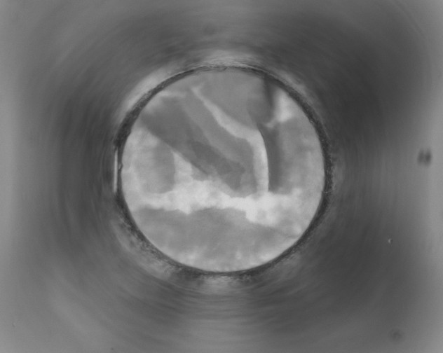X0000111481219200908250953