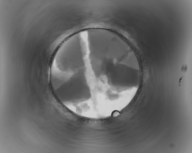 X0000111481221200908250953