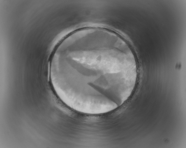 X0000111481223200908250953