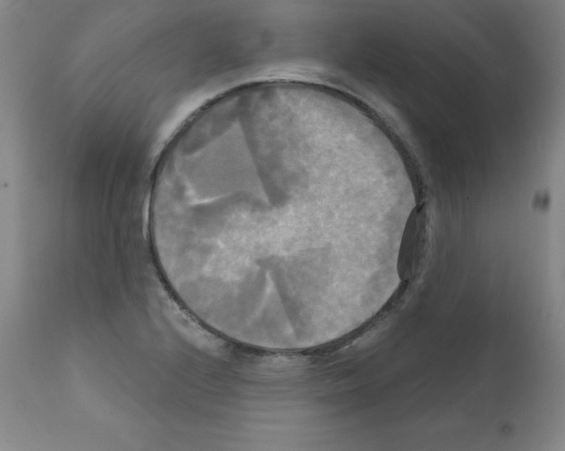 X0000111481224200908250953