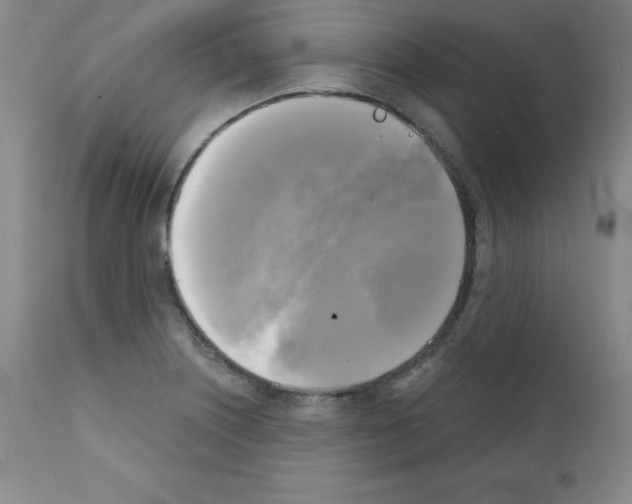 X0000111481226200908250953