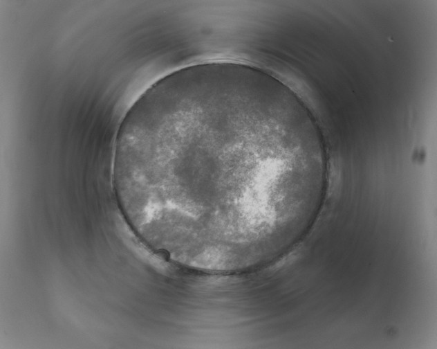 X0000111481228200908250953