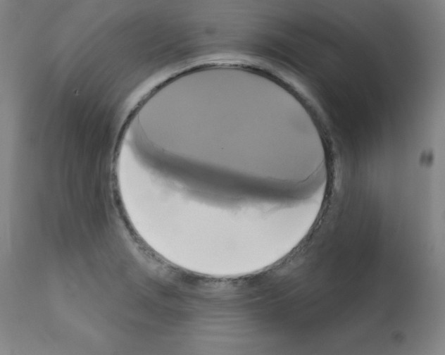 X0000111481229200908250953