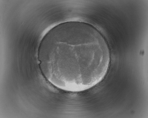 X0000111481230200908250953