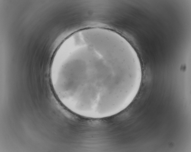 X0000111481231200908250953