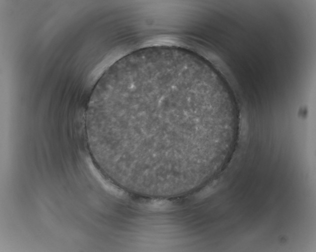 X0000111481233200908250953