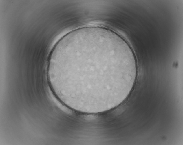 X0000111481235200908250953