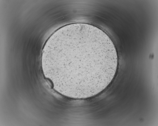 X0000111481236200908250953