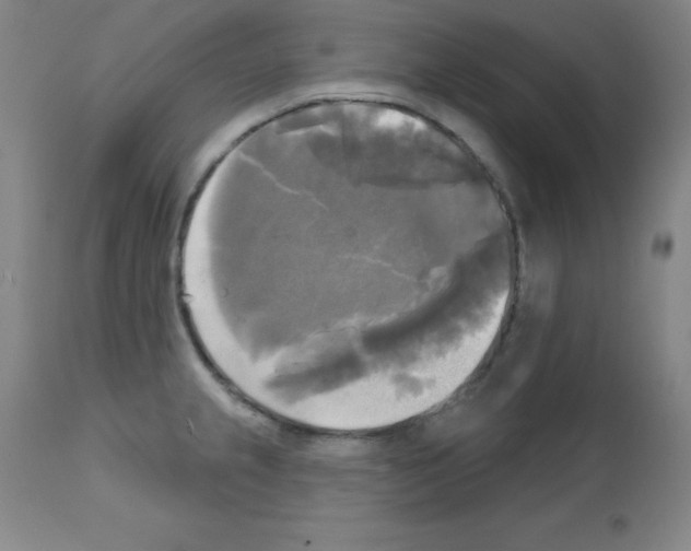 X0000111481237200908250953