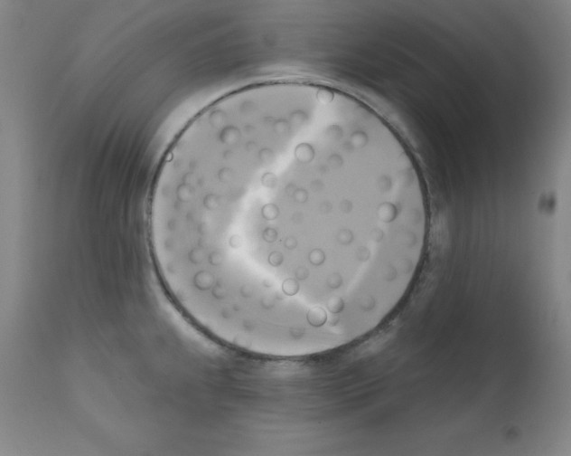 X0000111481239200908250953