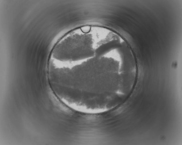 X0000111481240200908250953