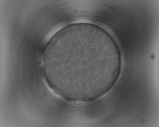 X0000111481241200908250953