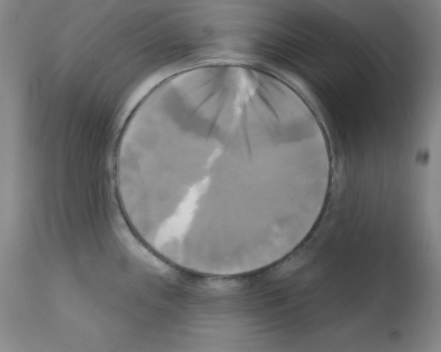 X0000111481243200908250953