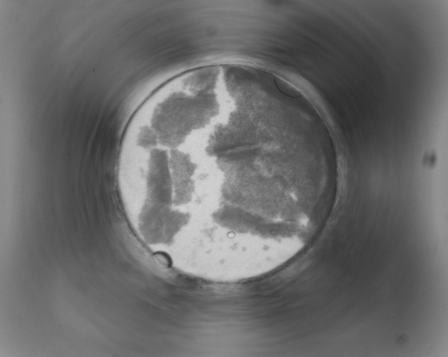 X0000111481244200908250953