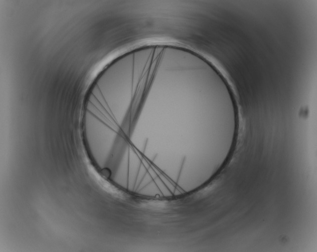 X0000111481245200908250953
