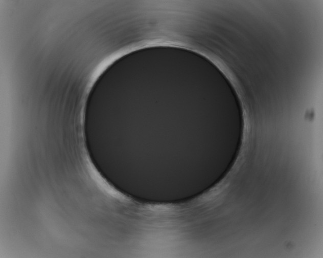 X0000111481246200908250953