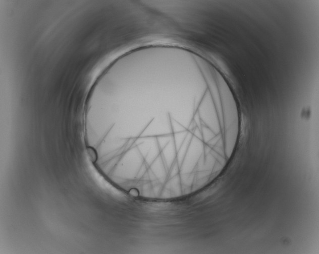 X0000111481247200908250953
