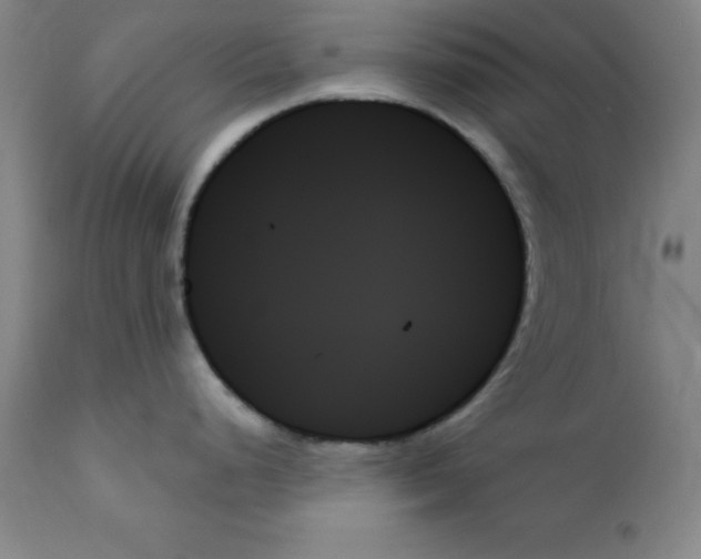 X0000111481248200908250953